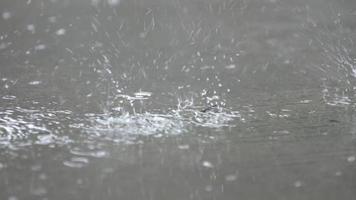 Raindrops splashing on the ground video