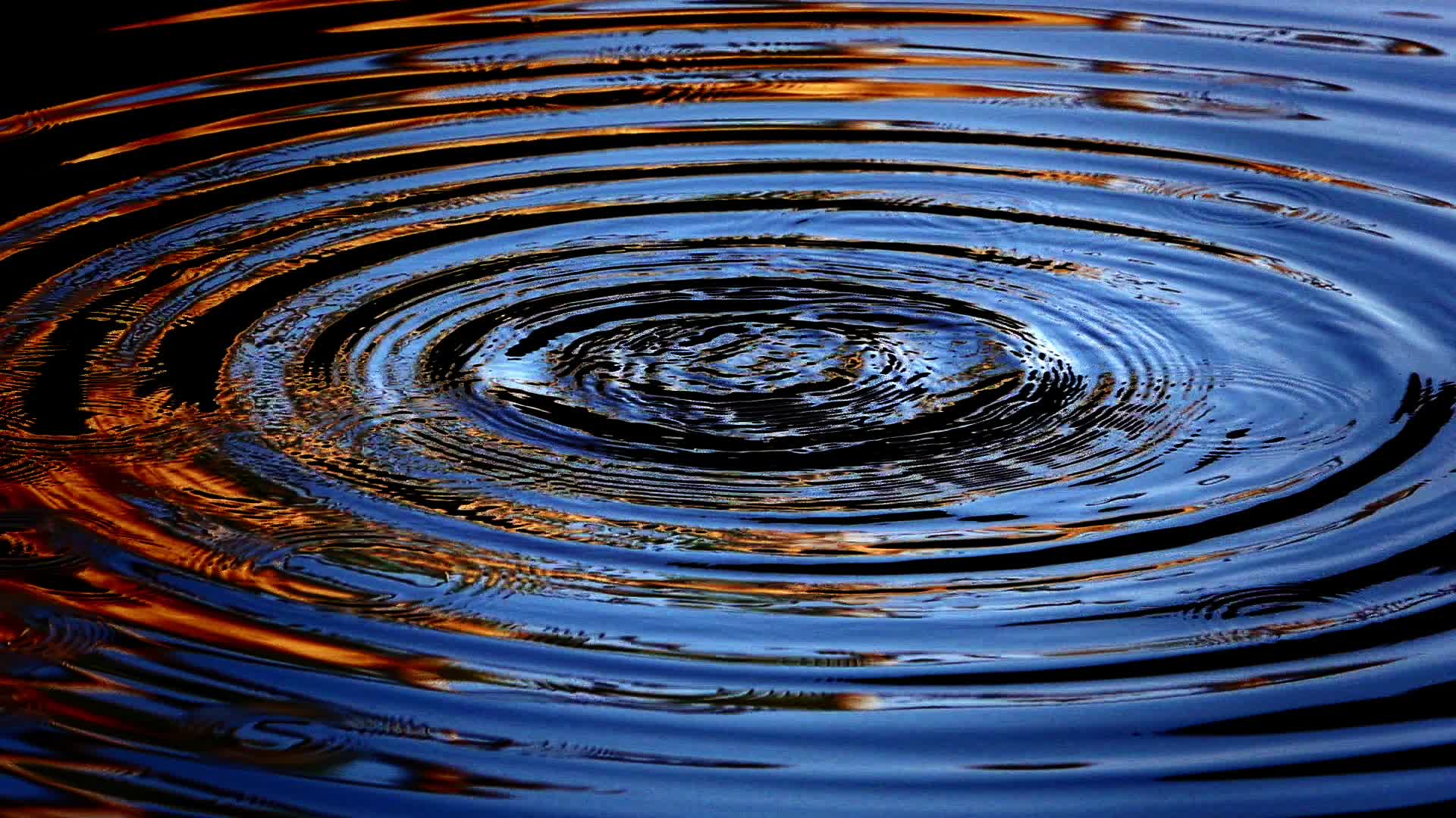 Water Ripple Effect Stock Video Footage for Free Download