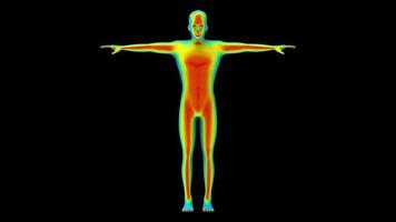 menselijk lichaamsscan video