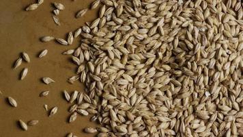 Rotating shot of barley and other beer brewing ingredients - BEER BREWING 112 video