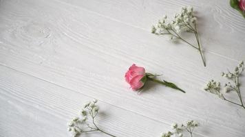 fleurs blanches et roses video