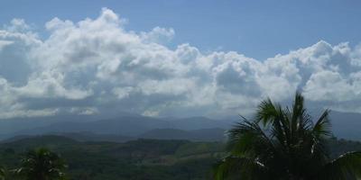 Timelapse de verdes colinas con grandes nubes en el cielo y palmeras en primer plano en 4k video