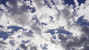 Laps de temps des nuages altocumulus se déplaçant lentement de droite à gauche de la scène sur un ciel bleu clair en 4k video