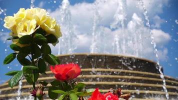 Roses and the Fountain video