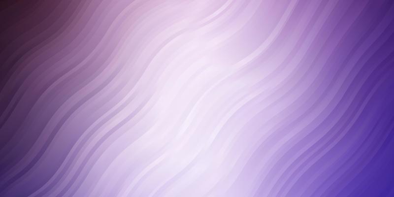 Light Purple vector backdrop with curves.