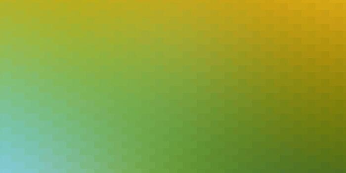 Light Green, Yellow vector layout with lines, rectangles.