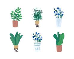 Homeplants flat vector object set