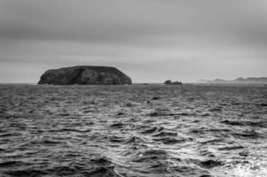 Grayscale of waves in the ocean photo