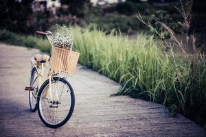 Bicycle parked on the street in the park photo