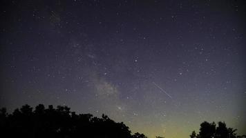 silueta de árboles durante la noche con estrellas foto