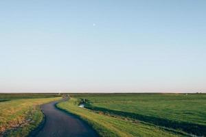 Road between green grassy fields photo