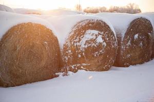 Fianzas de heno al amanecer en la nieve. foto