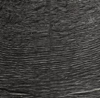 Wood grain texture photo
