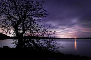 Silhouette of a tree near a body of water at sunset photo