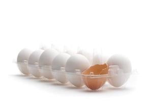 docena de huevos blancos en bandeja foto