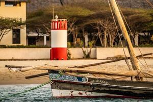 Paddleboat docked on the shore photo