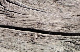 Wood grain texture photo