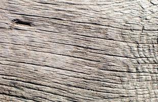 Wood grain texture photo