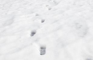 Footprints in the snow photo