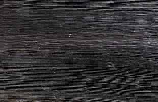 Wood grain texture photo