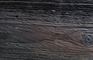 textura de grano de madera foto