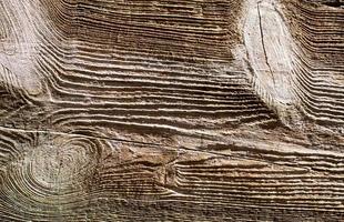 textura de grano de madera foto