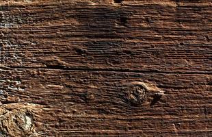 Wood grain texture photo