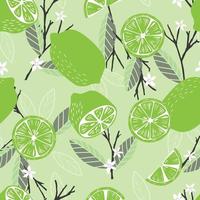 Fruit seamless pattern, lime with branches leaves and flowers vector