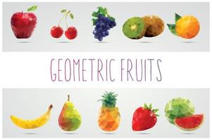 Collection of geometric polygonal fruits vector