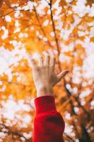 Hand against yellow leaves photo