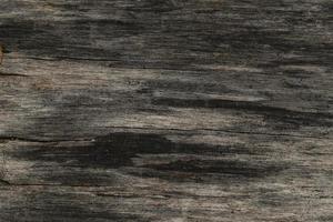 Wood texture background photo