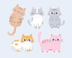 cute cat different pose cartoon animal funny character vector