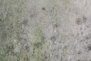 A close up of a wall with mold on it photo