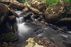 arroyo en el parque nacional de la cascada khao chamao foto