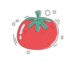healthy food nutrition diet organic harvest raw tomato vegetable icon vector