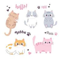 lindos gatos durmiendo y diferentes razas personaje de dibujos animados de animales divertidos vector