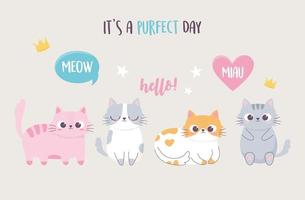 Lindos gatitos con letras personaje divertido animal de dibujos animados vector