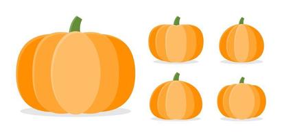 Collection of autumn pumpkins in different shapes vector