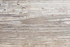 Wood grain texture photo