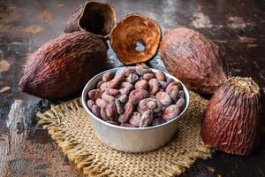 Cocoa beans in a bowl on a table photo