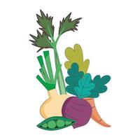 onion beet carrot and peas fresh market organic healthy food vegetable and fruit vector