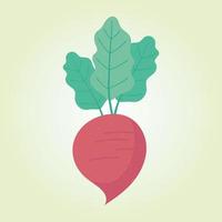 radish fresh harvest food, grocery purchases vector