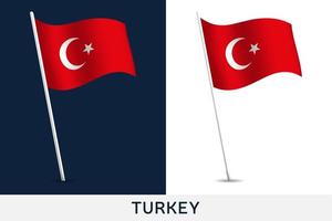 Turkey vector flag