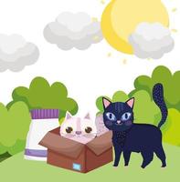 black cat in grass and white cat in box with food pets vector