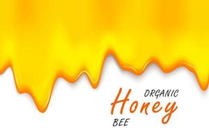 Paper cut style bee with honeycombs. Template design for beekeeping and honey product. vector