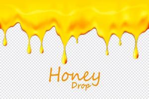 Seamless dripping honey repeatable isolated on transparent background, vector art and illustration.