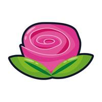 beautiful rose flower garden flat style icon vector