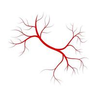 Red veins vector design illustration isolated on white background