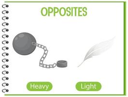 Opposite words with heavy and light vector