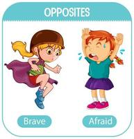 Opposite words with brave and afraid vector